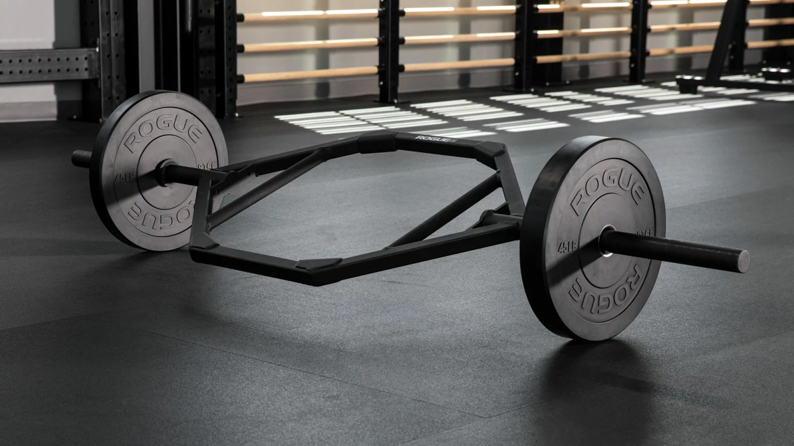 Rogue Fitness Rogue MIL Spec Echo Bumper - Image 5