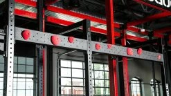 Rogue Fitness Rogue Monster Lite Climbing Hold Crossmembers