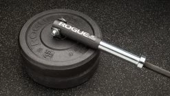 Rogue Fitness Post Landmine