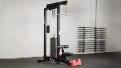 Rogue Fitness Monster Lat Pulldown/Low Row (Stand Alone)
