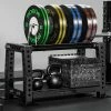 Rogue Fitness Monster Bumper Rack