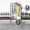 Rogue Fitness Mass Storage Accessories